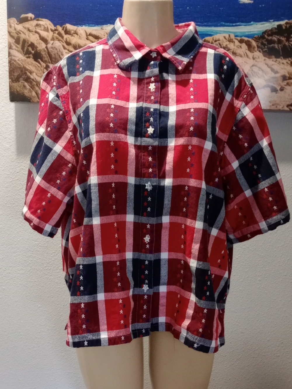 Tantrums Red and Navy Plaid Button-Down Shirt